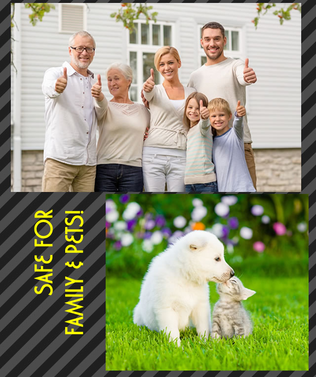 Pest control solutions safe for family and pets.